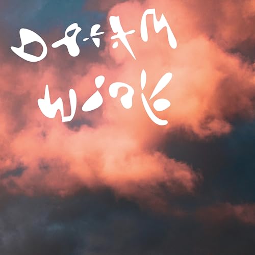 Dream Work (Ltd.White Vinyl) [Vinyl LP] von CAPTURED TRACKS
