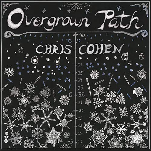 Overgrown Path [Vinyl LP] von CAPTURED TRACKS