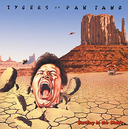 Burning in the Shade (Crystal Clear) [Vinyl LP] von CARGO RECORDS