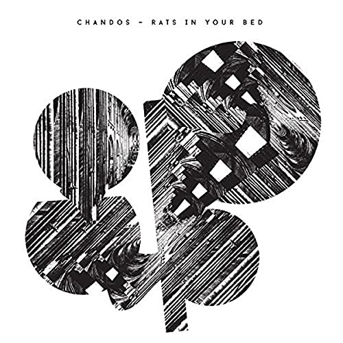 Rats in Your Bed [Vinyl LP] von CARPARK