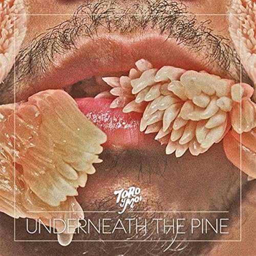 Underneath the Pine [Vinyl LP] von CARPARK