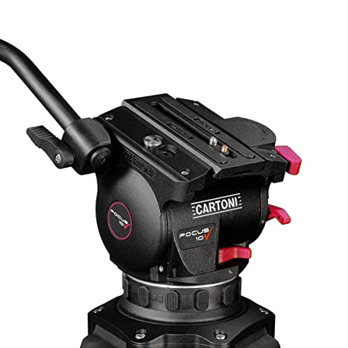 CARTONI Focus 10 (HF1000) - Fluidkopf - Kamera-Stativkopf - Stativmontage - Traglast bis 11kg - 100mm Halbkugel - Neigewinkel +/-90° - ausziehbarer Griff von CARTONI