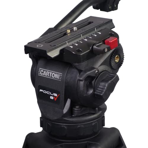 CARTONI Focus 8 (HF0800) - Schwarz - Fluidkopf - 75mm Halbkugel - Stativmontage - Kameras - bis 8kg von CARTONI