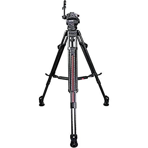 Cartoni Focus 8 2-St SDS CF System (KSDS08-C) von CARTONI