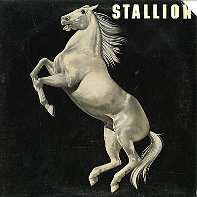 stallion LP von CASABLANCA