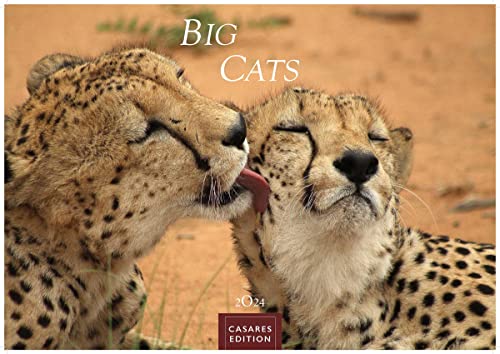 Big Cats 2024 S 24x35cm von CASARES EDITION