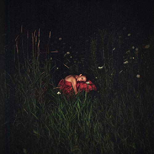 Close to the Flame [Vinyl LP] von CASCINE