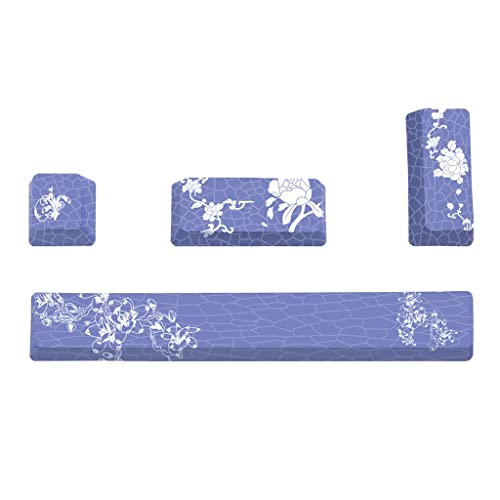 CASNO OEM Profile 4 Tasten Tastenkappen Set Esc Enter Space Bar 6,25U PBT Farbstoff-Sublimation für mechanische Tastatur-Tastenkappe von CASNO