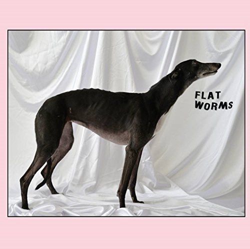 Flat Worms - Flat Worms von CASTLE FACE