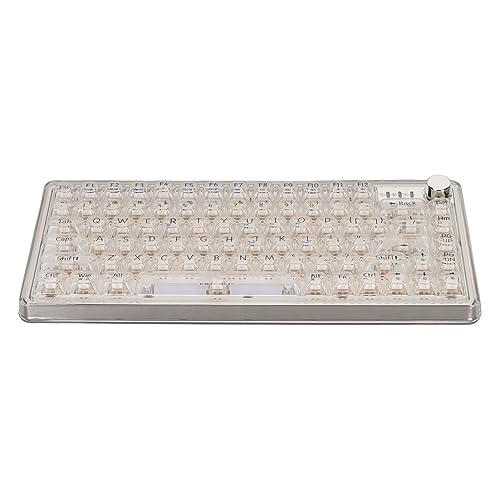 CCYLEZ Dichtungsmontierte Mechanische Gaming-Tastatur mit Transparenten Tastenkappen, Hot-Swap-fähige RGB BT5.0 2,4 GHz Typ-C-Gaming-Tastatur mit Knopf (White) von CCYLEZ