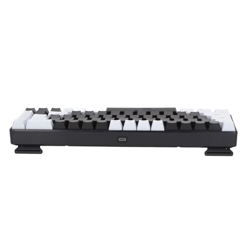 CCYLEZ Kabelgebundene Tastatur mit 68 Tasten, Membran Gaming Tastatur mit RGB Hintergrundbeleuchtung, Multimedia Steuerung, Ergonomische Computertastatur für Win (weiß schwarz) von CCYLEZ