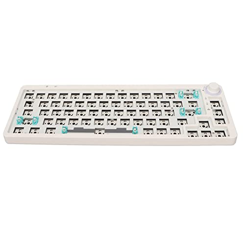 CCYLEZ Modulare Mechanische Tastatur, RGB Gaming Tastatur mit 67 Tasten Zum Selbermachen, Hot Swap fähiger 3 Pin 5 Pin Schalter, 3 Modus Verbindung (Weiß) von CCYLEZ