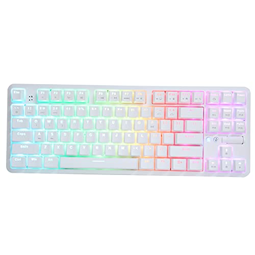 Kabellose, Kabelgebundene Mechanische Tastatur, 87 Tasten Dual Mode Gaming Tastatur mit 18 Bunten RGB Lichtern, 1,6 M USB Kabelgebundene Tastatur für Desktop, PC, Notebook, Laptop(Weiß) von CCYLEZ