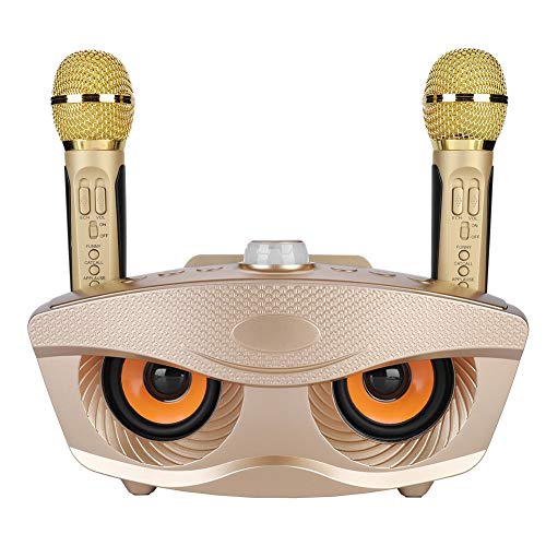 Tragbare Karaoke-Maschine, 10-W-Multifunktions-Bluetooth-Lautsprecher mit 2 drahtlosen Mikrofonen, 10-Meter-Bluetooth-Reichweite, Familien-Karaoke-Maschine für den Innen- und Außenbereich(Gold) von CCYLEZ