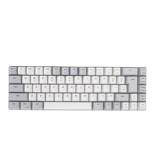 Wired Computer -Tastatur, 68 Tasten RGB RGB Mechanische Gaming -Tastatur, Eingabe der Mechanischen Tastatur für den PC -Laptop (Grauer weißer Farbblock) von CCYLEZ