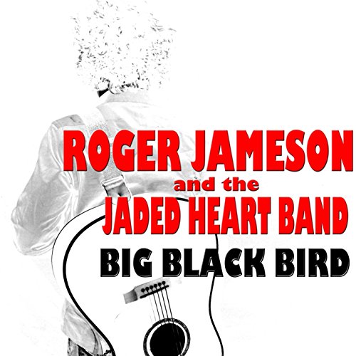 Big Black Bird [Vinyl LP] von CD Baby