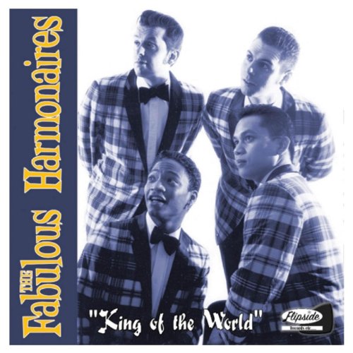 King of the World [Vinyl LP] von CD Baby