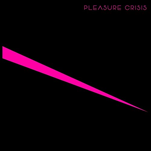 Pleasure Crisis [Vinyl LP] von CD Baby