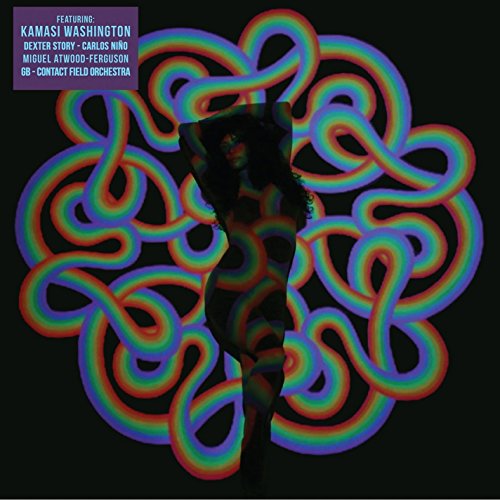Spirit Reflection [Vinyl LP] von CD Baby