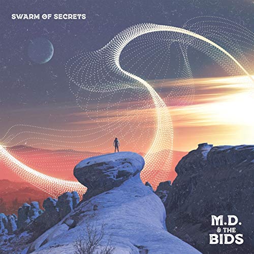Swarm Of Secrets [Vinyl LP] von CD Baby