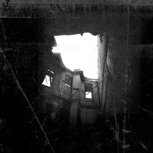 Transient Transient von SPINEFARM RECORDS