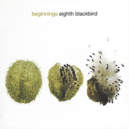 Beginnings Beginnings von CEDILLE RECORDS