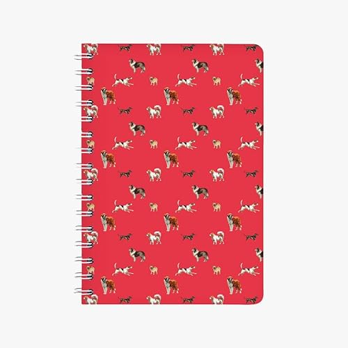 Ringbuch Bello DIN A5 Ringbuch Bello DIN A5 von CEDON
