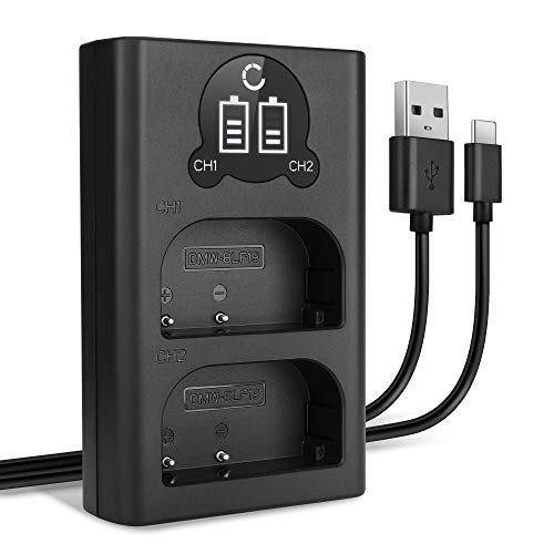 CELLONIC DMW-BLF19 DMW-BLF19E DMW-BLF19PP Dual Schnellladegerät kompatibel mit Panasonic GH5 GH5s GH4 GH3 Lumix DMC-GH4 DC-GH5 DC-G9 DMW-BTC10 + USB Kabel Akkuladegerät Ladekabel Dual Ladegerät von CELLONIC