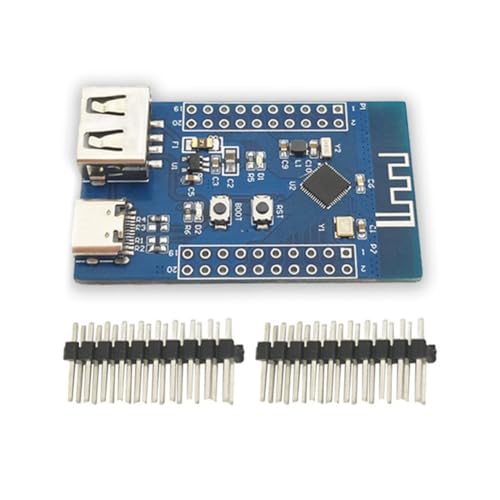 CENMEN Bluetooth-Module, Bluetooth 5.3, RF2.4G, Mikrocontroller, multifunktional, tragbar, geringer Stromverbrauch, Bluetooth, Dual-USB, RISC-V-Modul von CENMEN