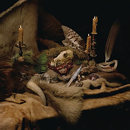 Primordial Arcana (Black LP & LP-Booklet) [Vinyl LP] von CENTURY MEDIA