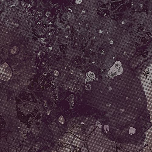 Razed to the Ground [Vinyl LP] von CENTURY MEDIA