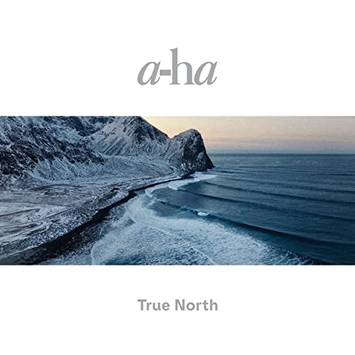 True North (2x Recycled 12" Black Heavy Weight) [Vinyl LP] von CENTURY MEDIA