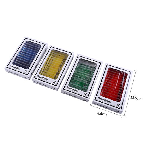 EIN Set -Kunststoff Hergestellter Mikroskop -Objektträger Anim PL Blüten 48pcs Nim PL Blüten 48pcs Vorbereitete Mikroskop Schieberieblank Schlitten Laternenschildmikroskop Schleifen KitPreserved EIN Set -Kunststoff Hergestellter Mikroskop -Objektträger Anim PL Blüten 48pcs Nim PL Blüten 48pcs Vorbereitete Mikroskop Schieberieblank Schlitten Laternenschildmikroskop Schleifen KitPreserved von CFTGIW