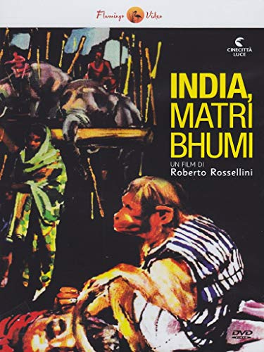 India [IT Import] von Flamingo Video