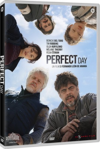 DVD PERFECT DAY von CG