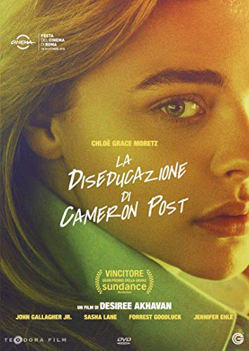 Dvd - Diseducazione Di Cameron Post (La) (1 DVD) von CG