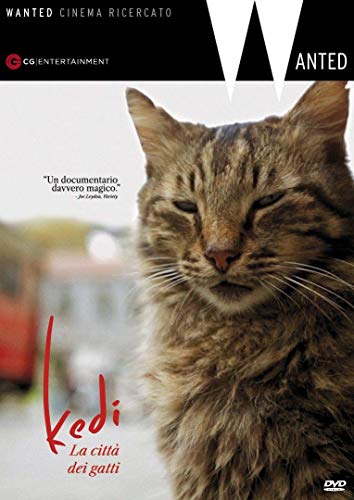 Kedi - La Citta' Dei Gatti (1 DVD) von CG