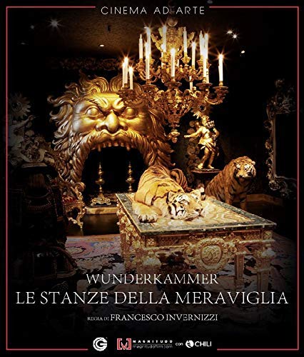 Movie - La Stanza Delle Meraviglie (1 BLU-RAY) von CG