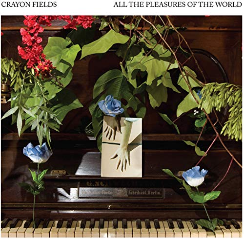 All the Pleasures of the World (Deluxe Edition) [Vinyl LP] von CHAPTER MUSIC