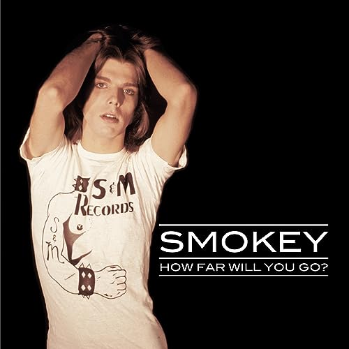 How Far Will You Go?: The S&M Recordings 1973-81 [Vinyl LP] von CHAPTER MUSIC