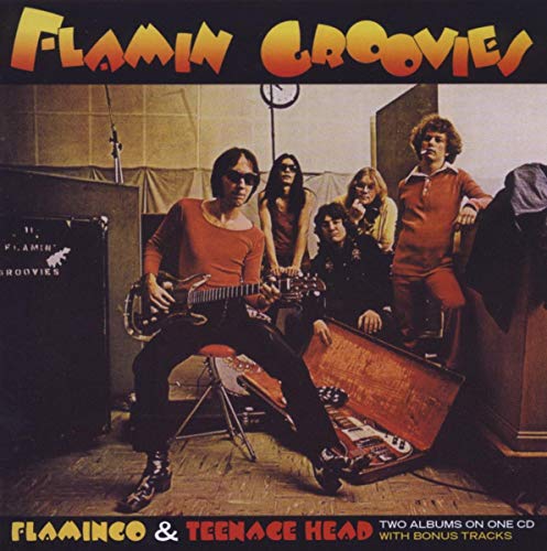 Flamingo/Teenage Head (Remastert & Expanded) von CHERRY RED
