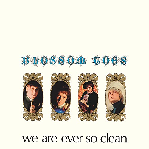 We Are Ever So Clean-Remastered Vinyl Edition [Vinyl LP] von CHERRY RED