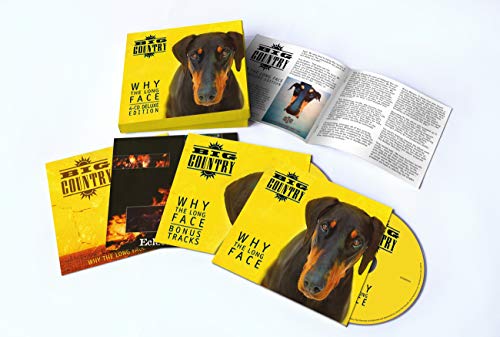 Why the Long Face (4cd Deluxe Expanded Box Set) von CHERRY RED