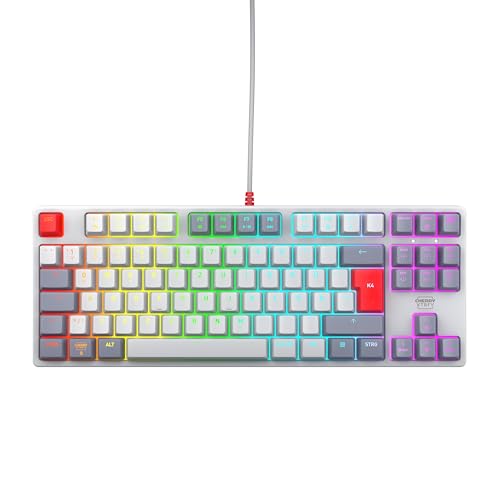 CHERRY XTRFY K4V2 TKL, Kabelgebundene Gaming-Tastatur ohne Nummernblock, Deutsches Layout (QWERTZ), RGB-Beleuchtung, Mechanische MX2A RED Switches, Retro von CHERRY XTRFY