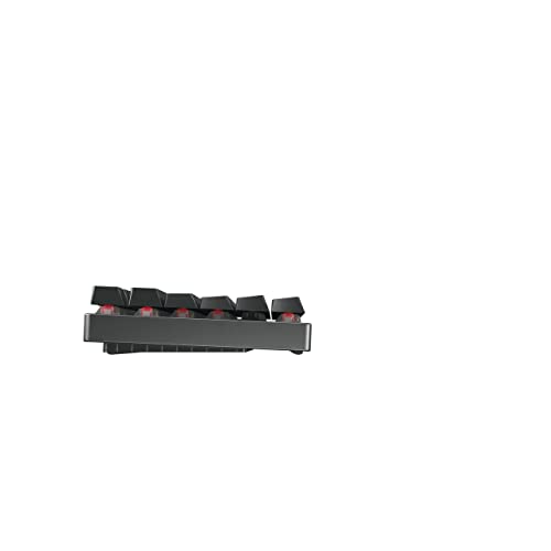 CHERRY MX 8.2 TKL・Tastatur・Hintergrundbeleuchtung (G80-3882LYAUS-2) - von CHERRY