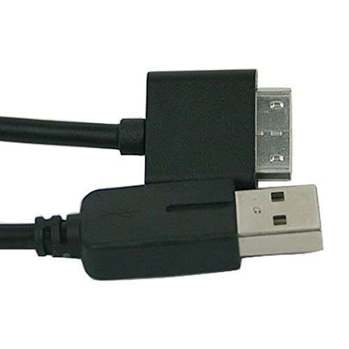 WICAREYO 2 in1 USB 2.0 Daten Sync Transfer Power Ladegerät Kabel für PSP Go von CHILDMORY
