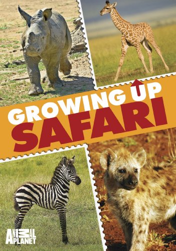 Growing Up Safari [DVD] [Region 1] [NTSC] [US Import] von Gaiam