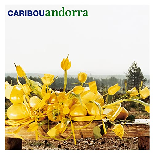 Andorra (Lp+Mp3) [Vinyl LP] von CITY SLANG RECORDS