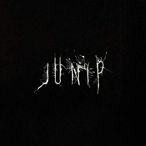 Junip (Lp+Mp3) [Vinyl LP] von CITY SLANG RECORDS