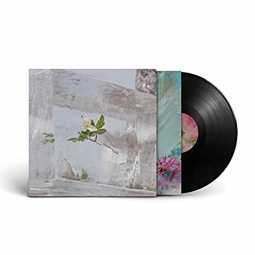 Windflowers (Lp+Mp3) [Vinyl LP] von CITY SLANG RECORDS